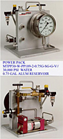 Power Pack 30,000 psi Water 0.75 Gal Alum Reservoir - MTPP30-W-PP189-2-0.75G-SG-G-V