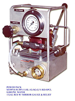 Power Pack 8,000 psi Water 1 Gal Res with Mirror Gauge and Relief